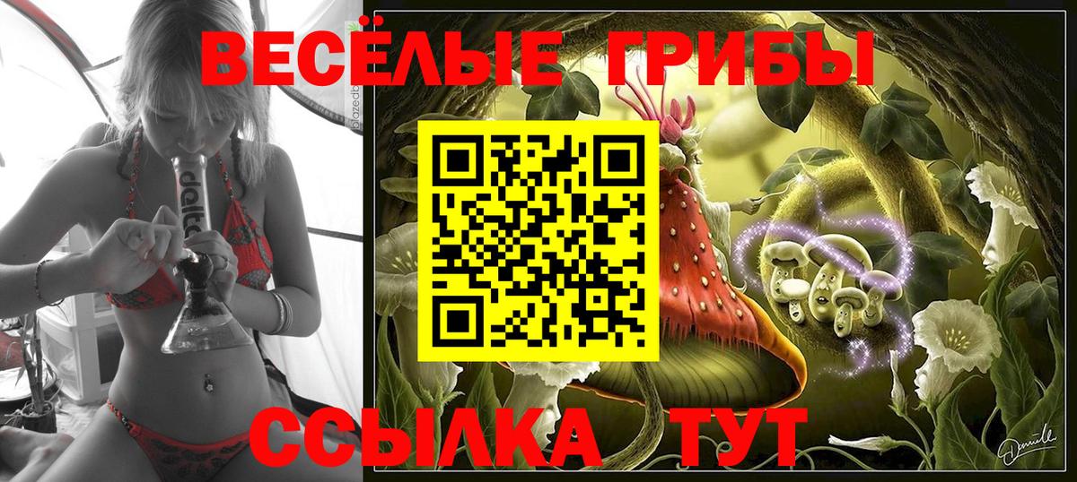 Мегион  Галлюциногенные грибы мухоморы  Вход с VPN  Галлюциногенные грибы Cubensis 