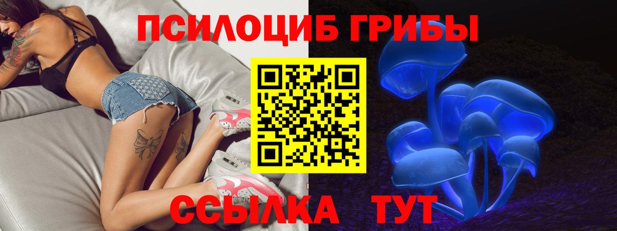 Галлюциногенные грибы Psilocybe Мегион